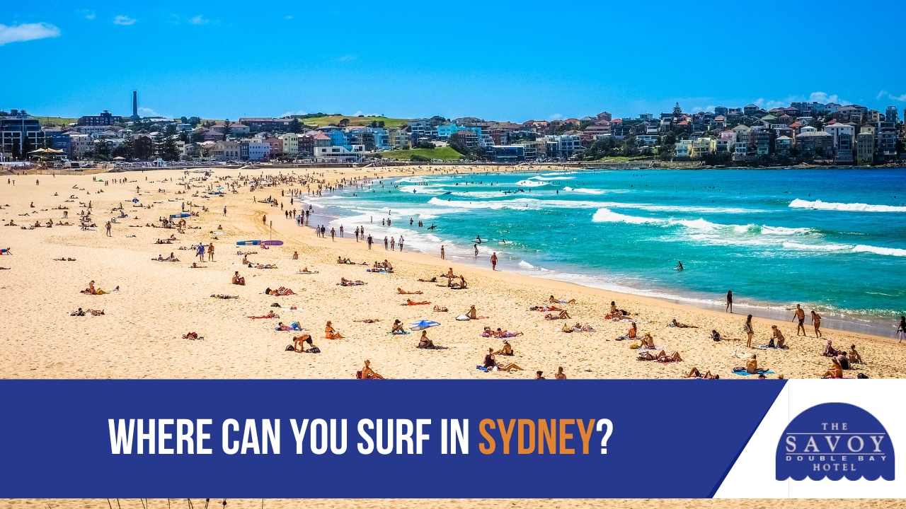 Where can you surf in Sydney Where can you surf in Sydney