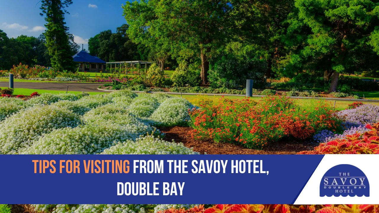 Tips for Planning a Visit Visiting the Royal Botanic Garden Sydney: A Complete Guest Guide - Royal Botanic Garden Sydney