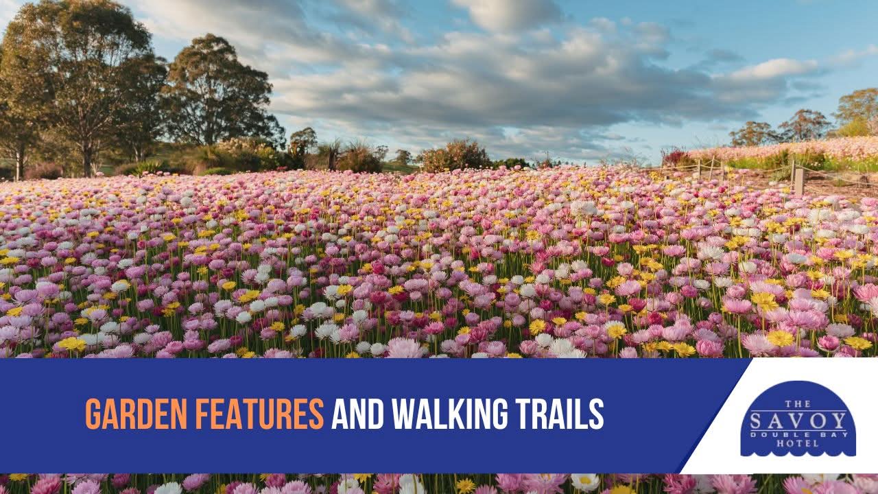 Visiting the Royal Botanic Garden Sydney: A Complete Guest Guide - Royal Botanic Garden Sydney Visiting the Royal Botanic Garden Sydney: A Complete Guest Guide - Royal Botanic Garden Sydney