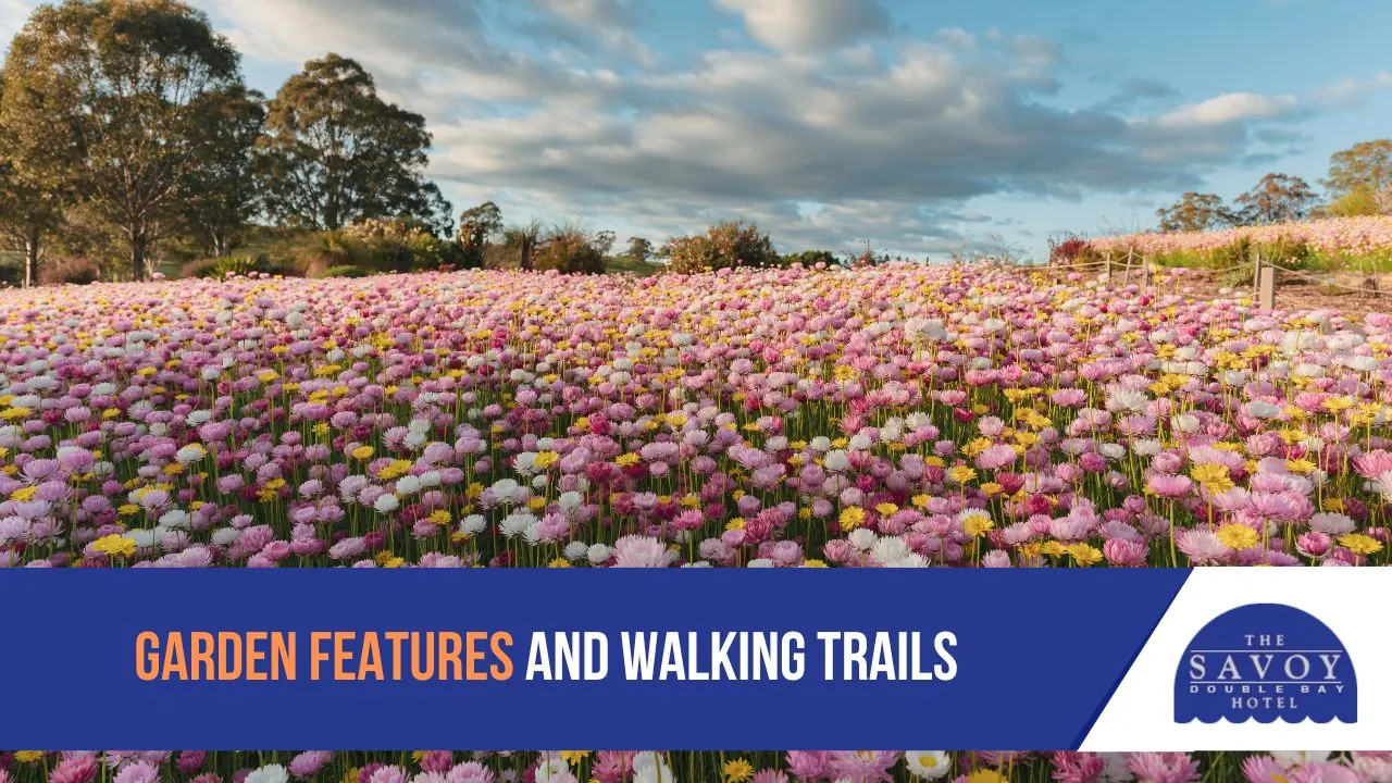 Visiting the Royal Botanic Garden Sydney: A Complete Guest Guide - Royal Botanic Garden Sydney Visiting the Royal Botanic Garden Sydney: A Complete Guest Guide - Royal Botanic Garden Sydney
