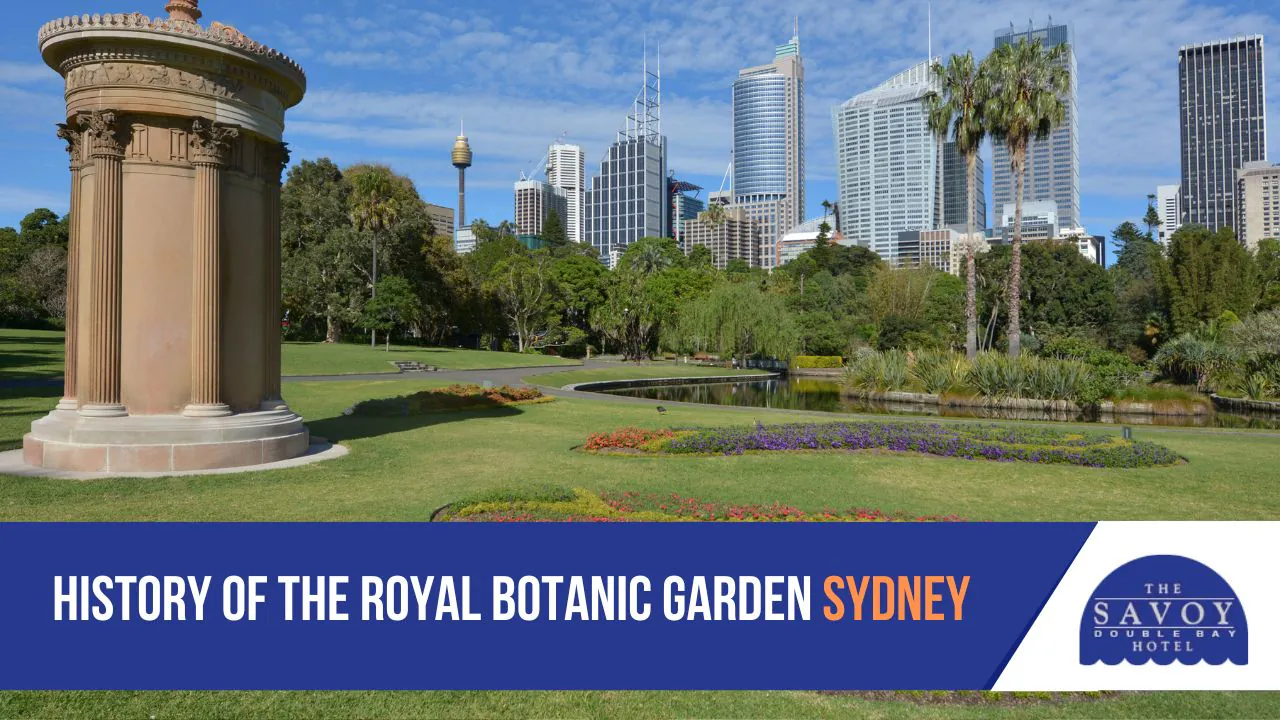 Plant Collections Visiting the Royal Botanic Garden Sydney: A Complete Guest Guide - Royal Botanic Garden Sydney