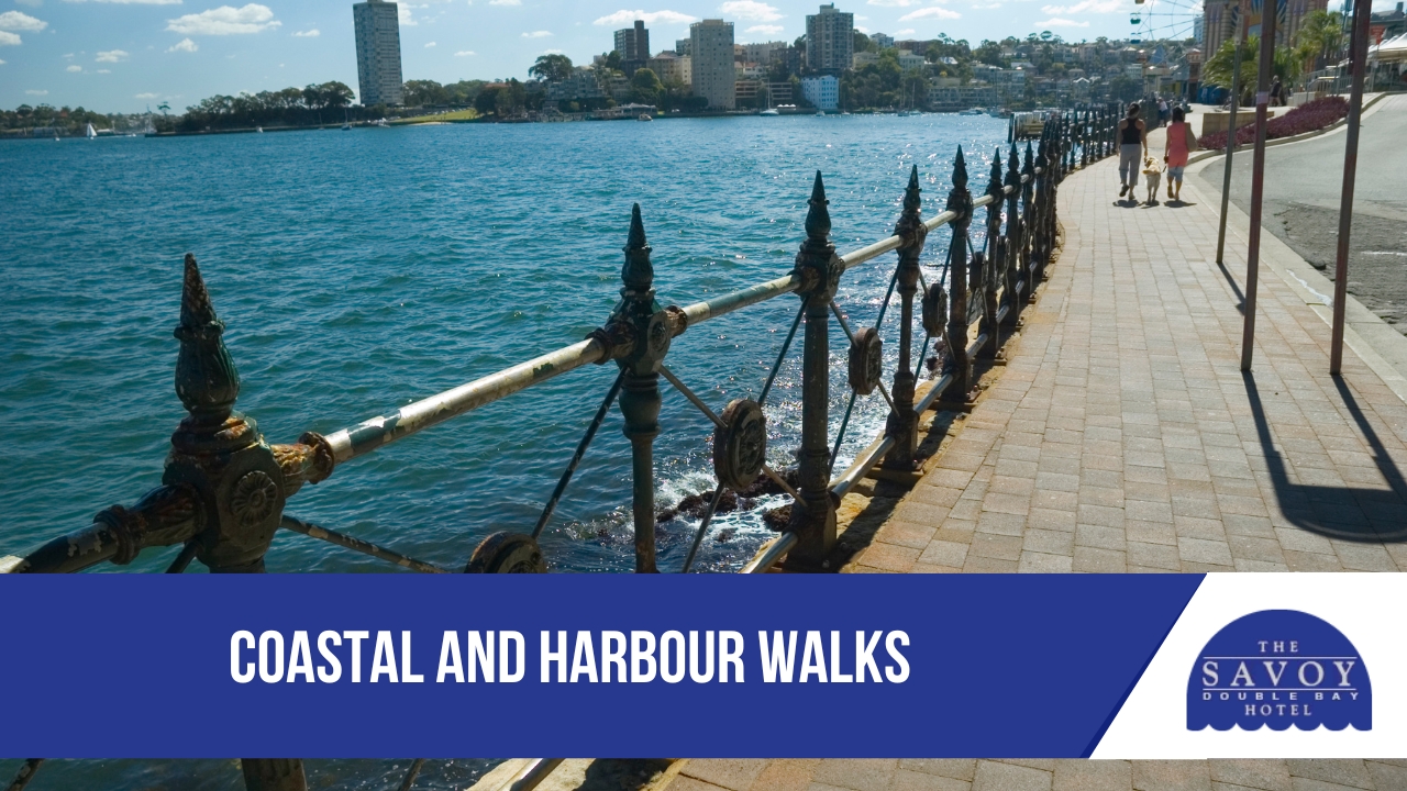 Top Parks and Coastal Walks Near Double Bay - Coastal Walks Coastal and Harbour Walks