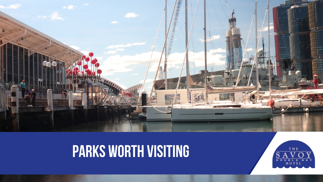 Top Parks and Coastal Walks Near Double Bay - Coastal Walks Parks Worth Visiting