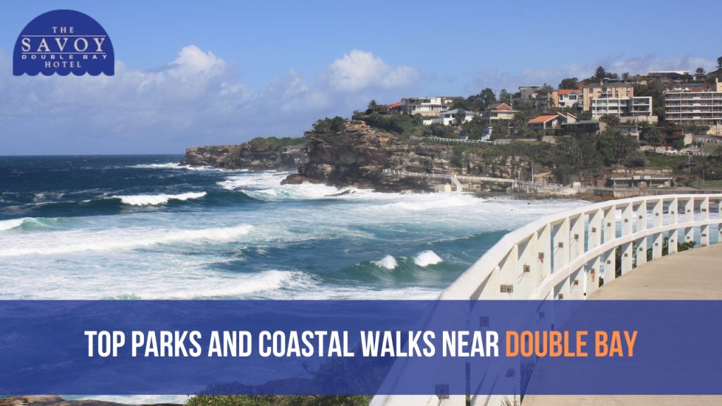 Top Parks and Coastal Walks Near Double Bay