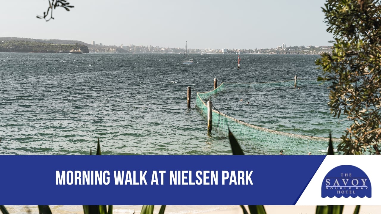 Romantic Weekend Plans Around the Harbour - Sydney Harbour Morning Walk at Nielsen Park