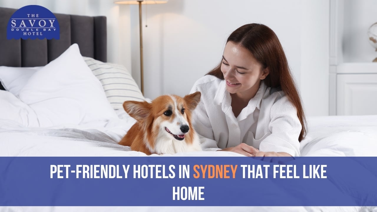 A woman in a white robe smiles at a Corgi on a hotel bed